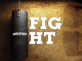 onesport-fight
